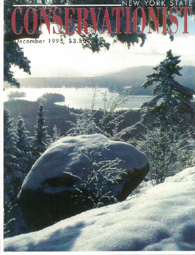 The Balancing Rock, December 1995